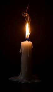 Dani Zellmer Bunzell Obituary, Death, Peru, Illinois – Beloved Mother, Wife, and Friend Remembered for Her Love, Strength, and Lasting Legacy